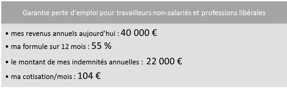 Simulation Garantie perte d'emploi TNS et professions libérales